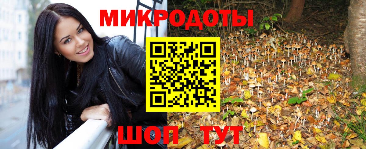 Галлюциногенные грибы Cubensis  Псилоцибиновые грибы прущие грибы  Вход с VPN  Пугачёв 